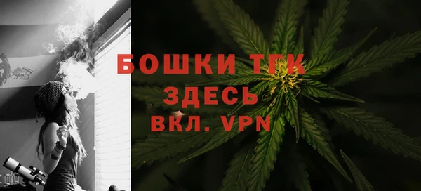 сатива Володарск