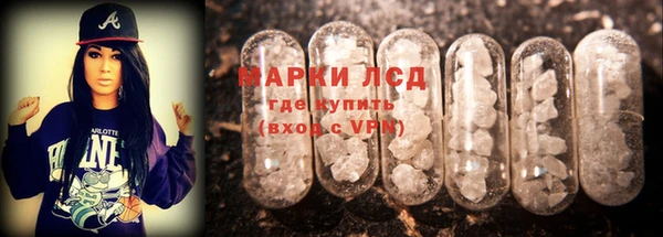 сатива Володарск
