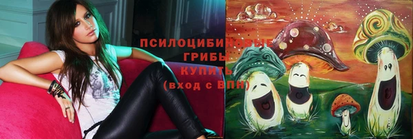 сатива Володарск