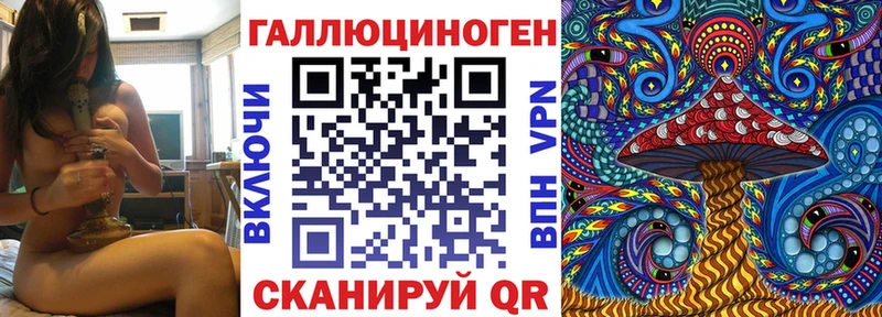 blacksprut ссылки  Калуга  Галлюциногенные грибы Psilocybine cubensis 